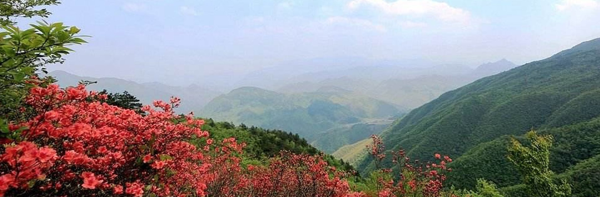 hiking, forest, mountains, zhejiang