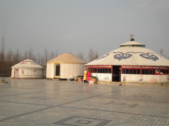 mongolian tents in shanghai horse riding