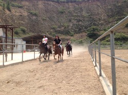 horsing court in shanghai