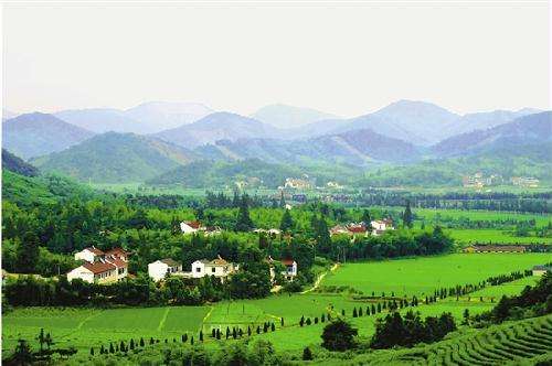 nature, hill top, shanghai, village
