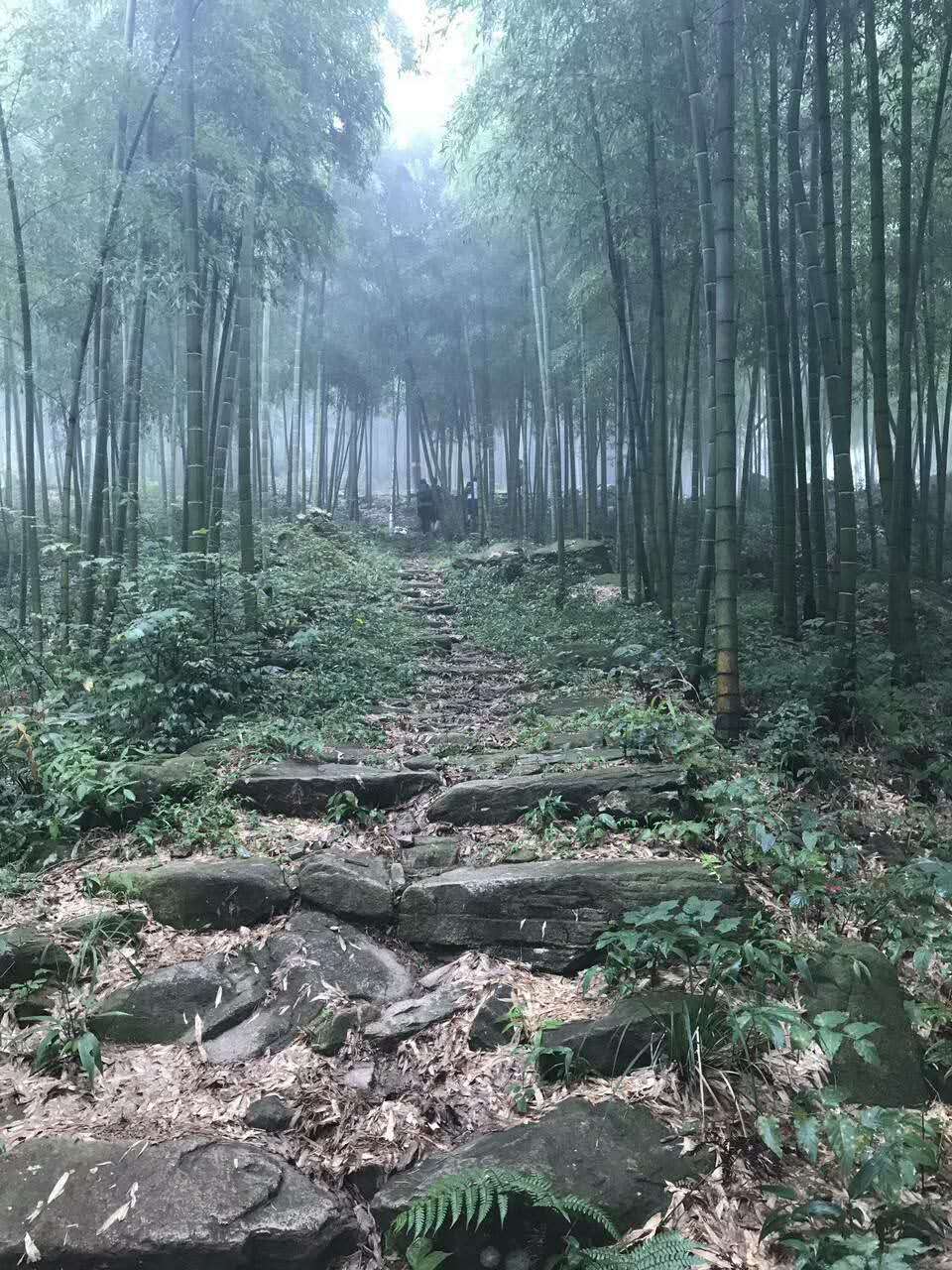 shanghai, lake, hikers, hike, hiking, local village