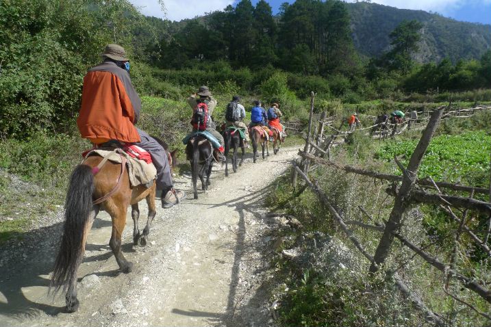 lijiang, horse riding, culture