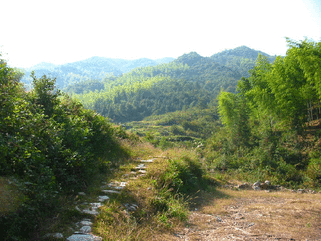 hike, hiking, shanghai, nature, countryside