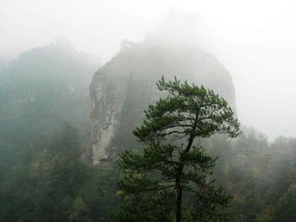 Tiammu, Hike, Zhejiang, Nature