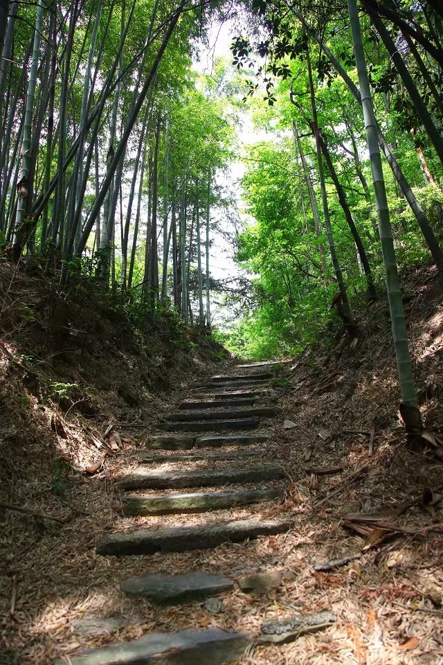 dongshan. hike, hikers
