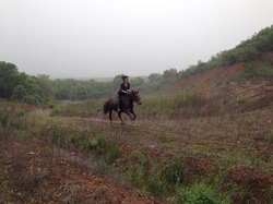 countryside shanghai horse riding