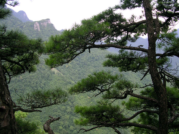 nature, mountain, hiking, shanghai