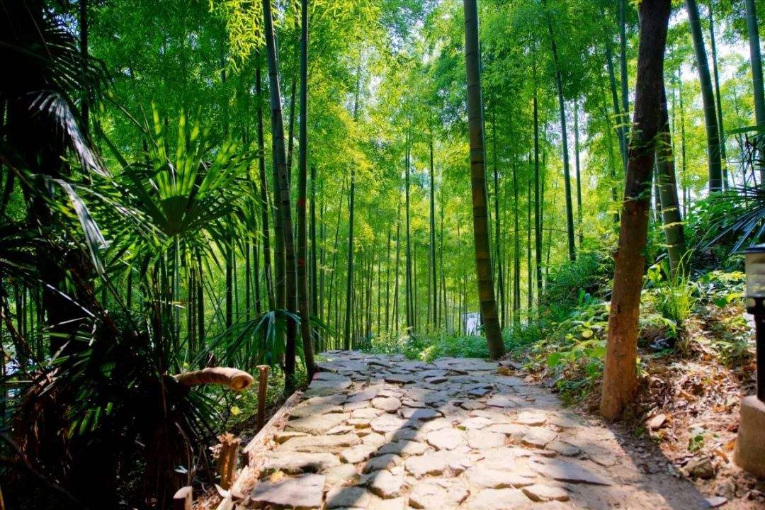 hiking, nature, shanghai