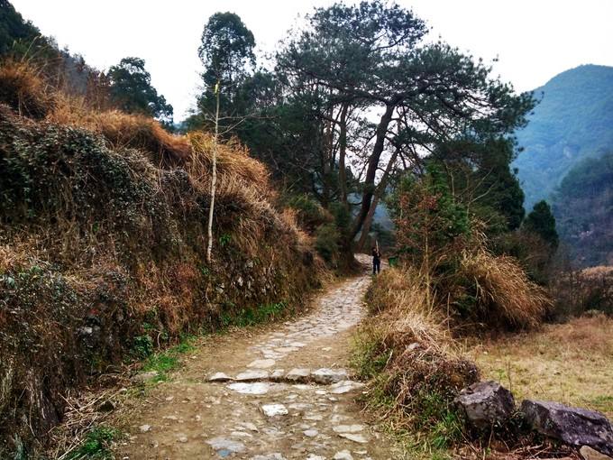 zhejiang, hike, nature, hiking
